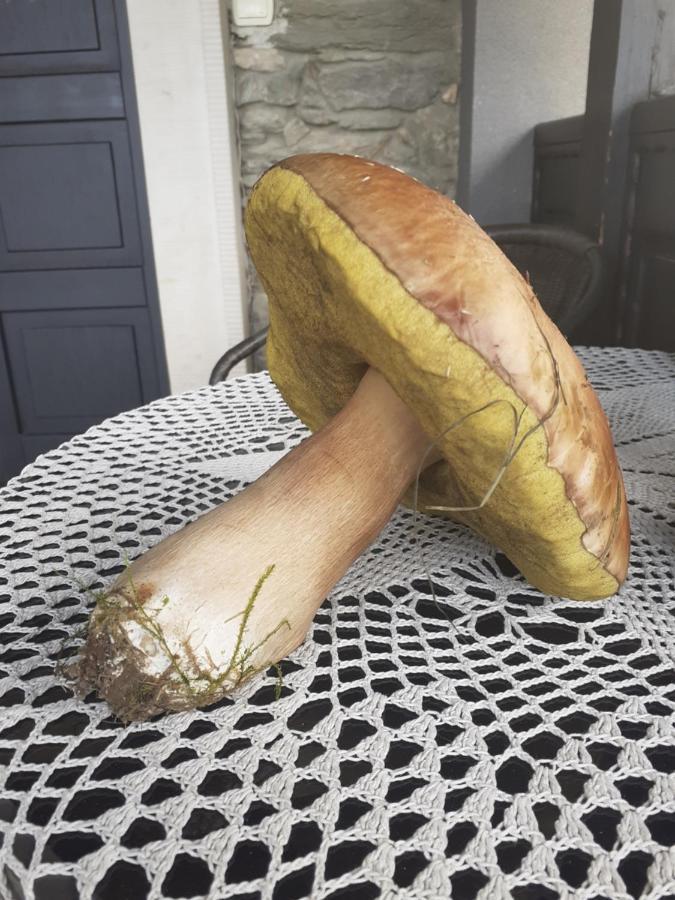 Agroturystyka Łysa Góra Jelenia Góra Exterior foto