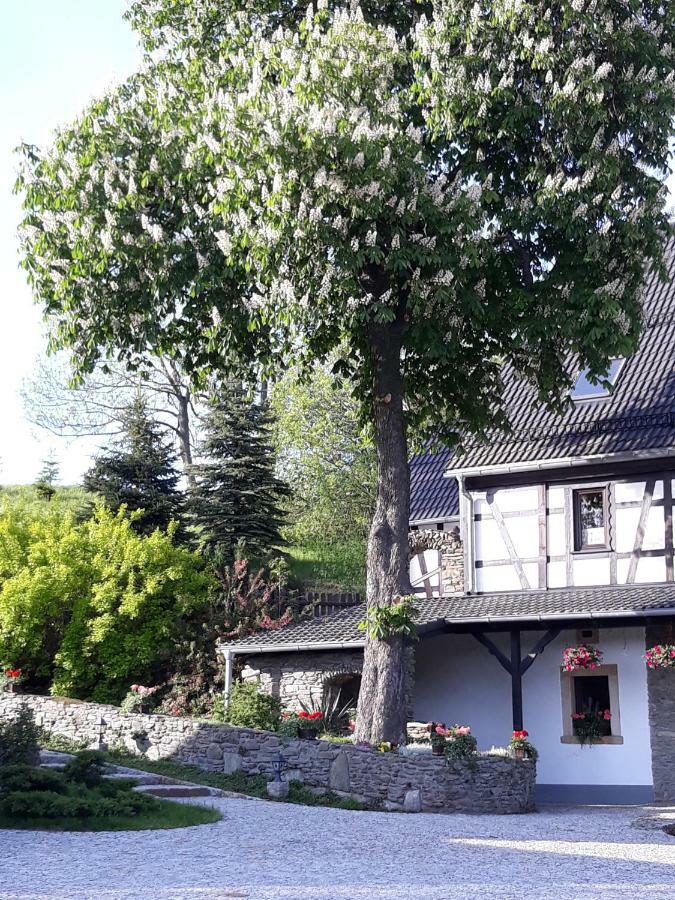 Agroturystyka Łysa Góra Jelenia Góra Exterior foto