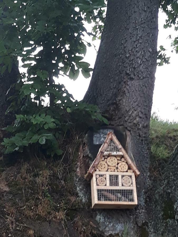 Agroturystyka Łysa Góra Jelenia Góra Exterior foto
